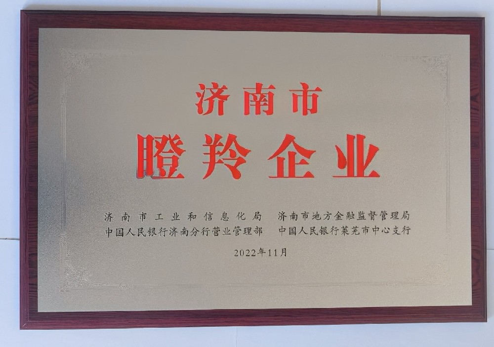 山東平安環(huán)境科技有限公司榮登2022年度市級瞪羚企業(yè)