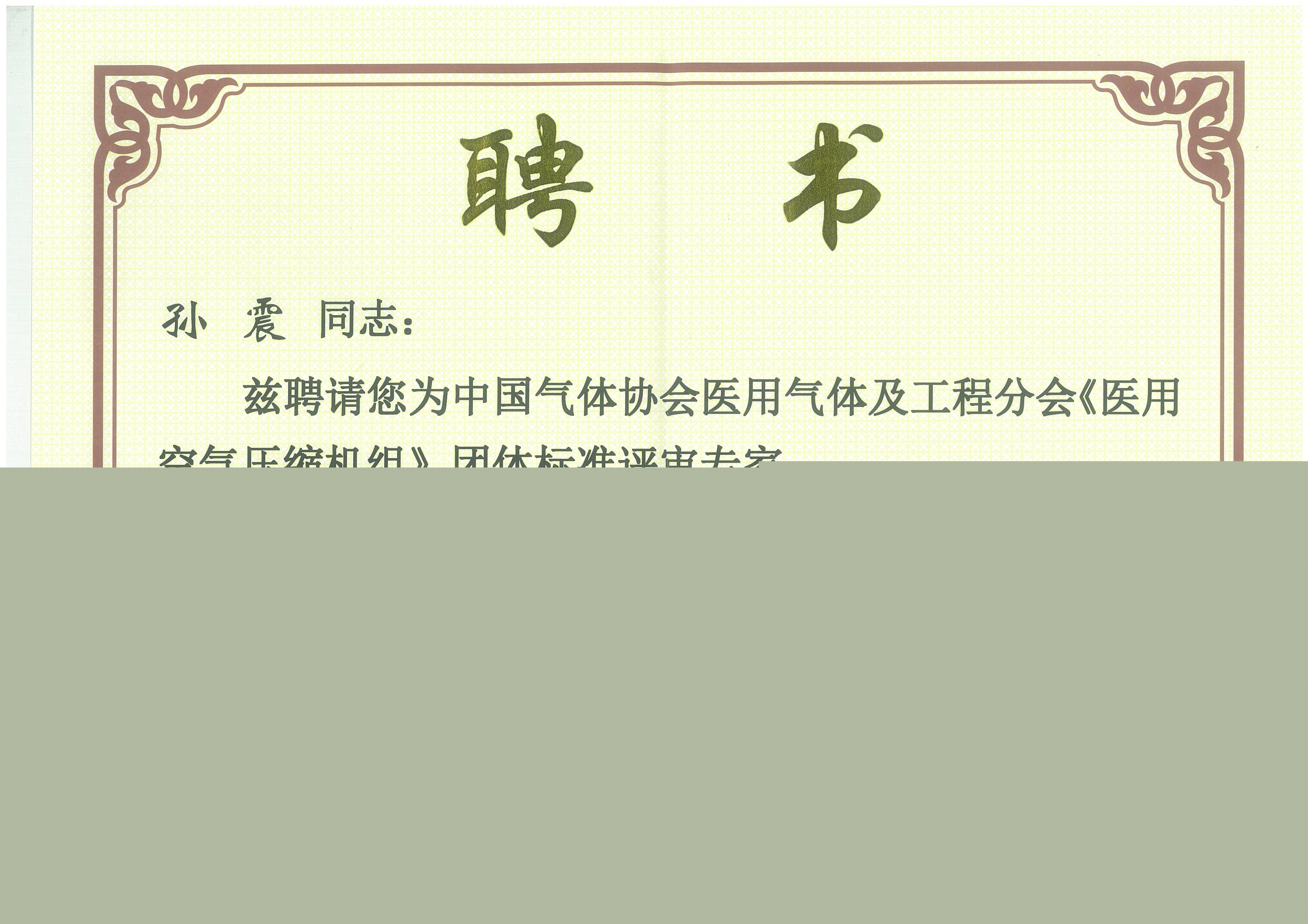 標(biāo)準(zhǔn)評(píng)審專家